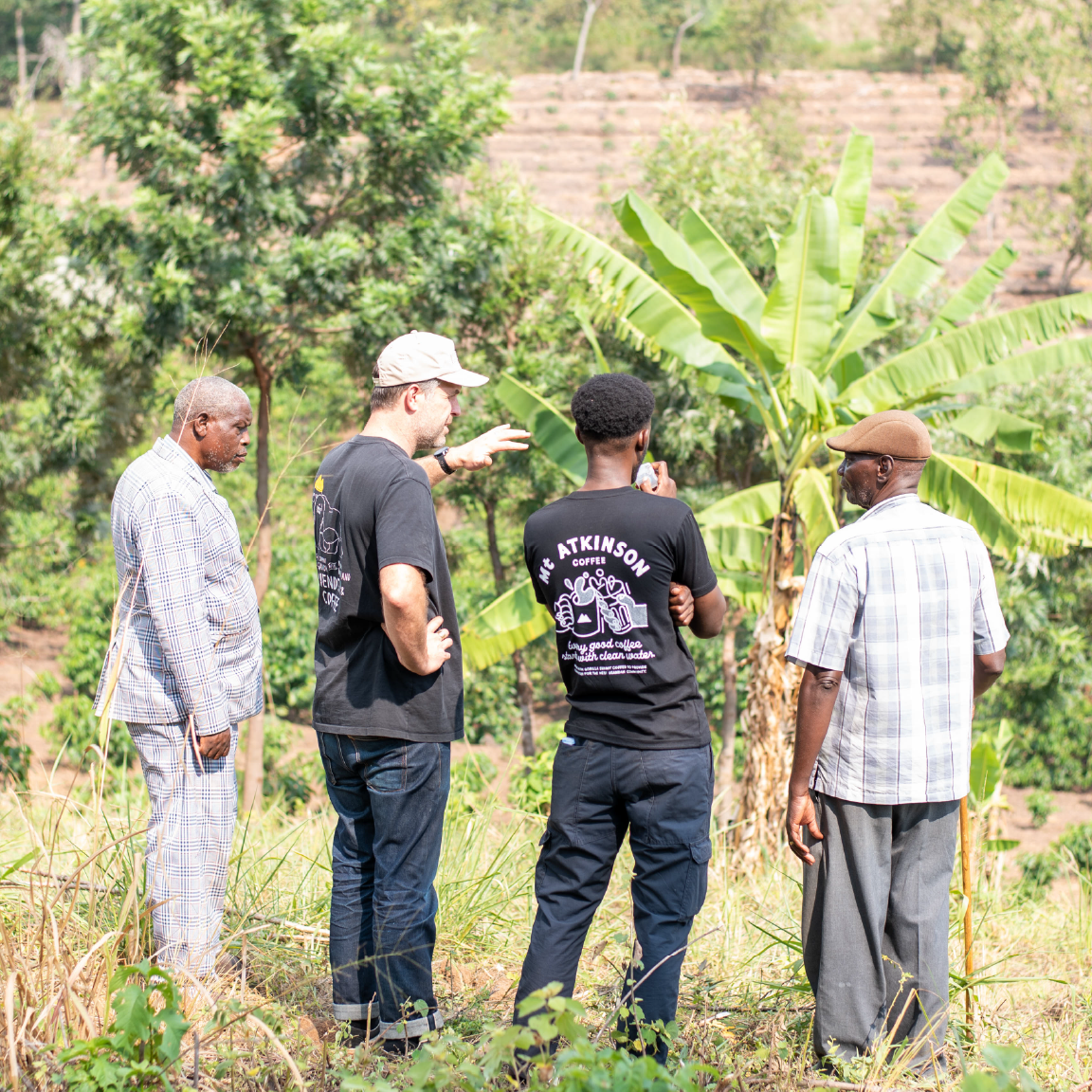 Growing Pains: The Challenges of Coffee Growing in Uganda